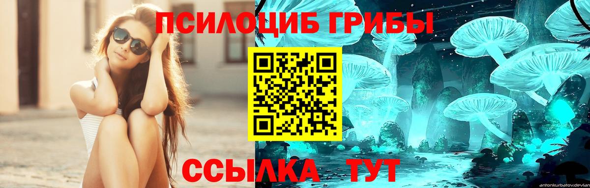 Галлюциногенные грибы мицелий Железногорск
